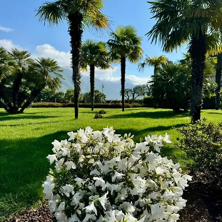 Ulivi & Paratico