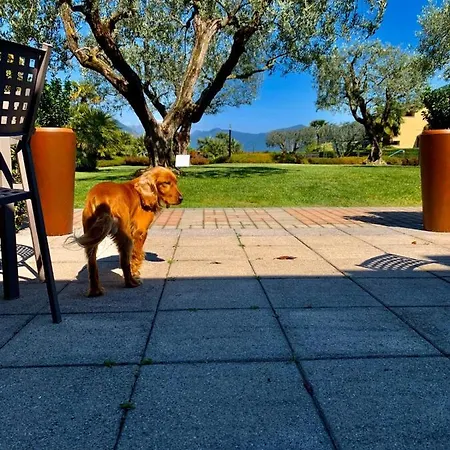 Ulivi & Hotel