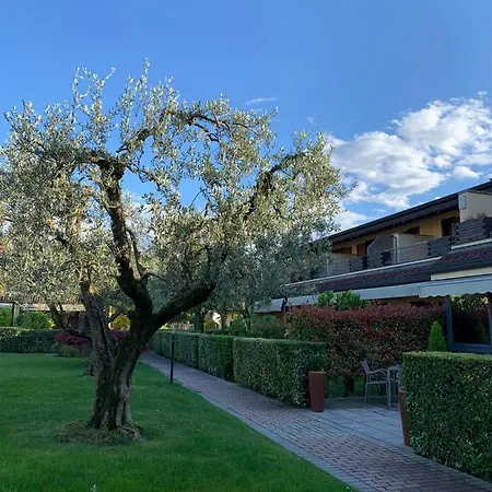 Hotel Ulivi 4*
